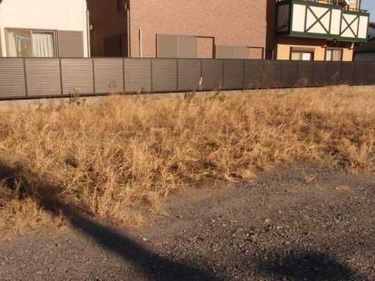 Local land photo.  [Local 1] 2013 December shooting