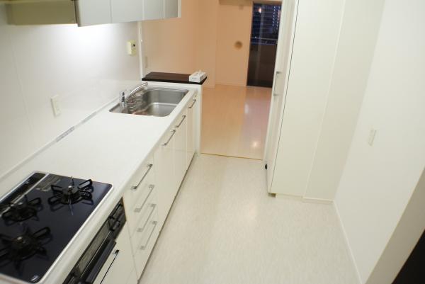 Kitchen. Housework flow line smooth 2Way kitchen