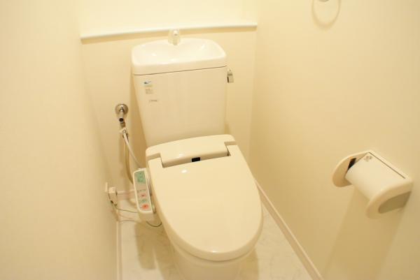 Toilet. Toilet with shower