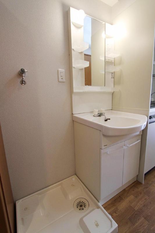 Washroom. Popular independent vanity women