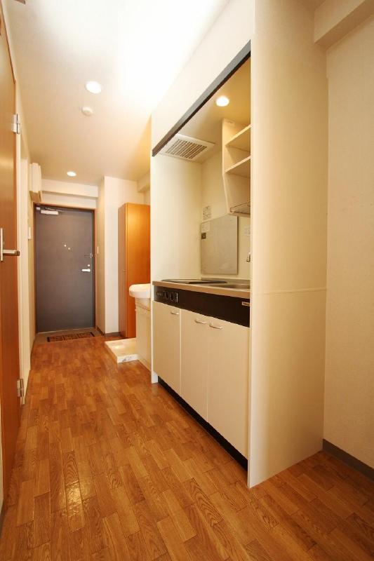 Washroom. Economic 2-neck IH system kitchen