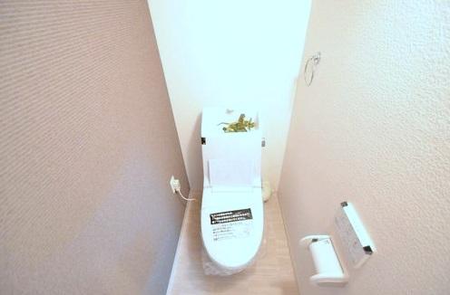 Toilet. ~ New Renovation Example of construction ~