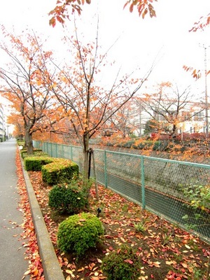 Other. (Other) up to 5m