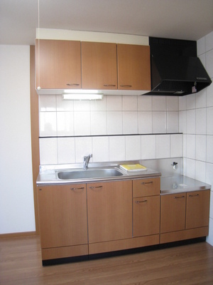 Kitchen. Easy cooking with gas stove installation Allowed