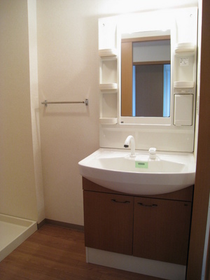 Washroom. Convenient shampoo dresser also busy morning