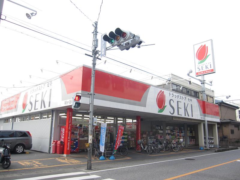 Dorakkusutoa. Cough up chemicals (drugstore) 555m