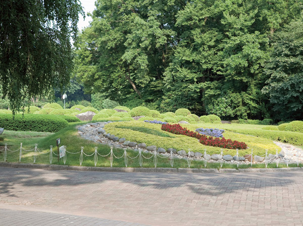 Surrounding environment. Kawaguchi Green Center (about 5980m ・ Car about 9 minutes) colorful flowers blooming plum grove and rare plants can appreciate Kan greenhouse, etc., Spot that can abandon enjoy nature. Ice rinks, In addition to facilities such as mini railway, Enhancement also events for children Nature Classroom Nadochibikko. To leisurely spend a holiday in nature, It perfect park.