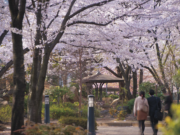 Surrounding environment. Lilia Park (Kawaguchi Nishi) (about 740m ・ Lilia Park spread in front of the eyes of a 10-minute) Kawaguchi Station walk West Exit. In the vast grounds of the total area of ​​3.1 hectares is, In addition to the green and the water is full of scenes like invites a feeling like you are in the mountains of the mountain stream, Lawn Square lush Shigeru from spring to summer, Large-scale flower beds and a variety of monuments, etc., It is equipped with full facilities suitable to decorate the front of the station.