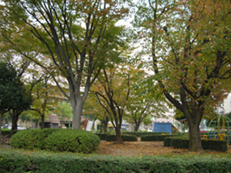 park. 630m until Tozukahigashi park (park)