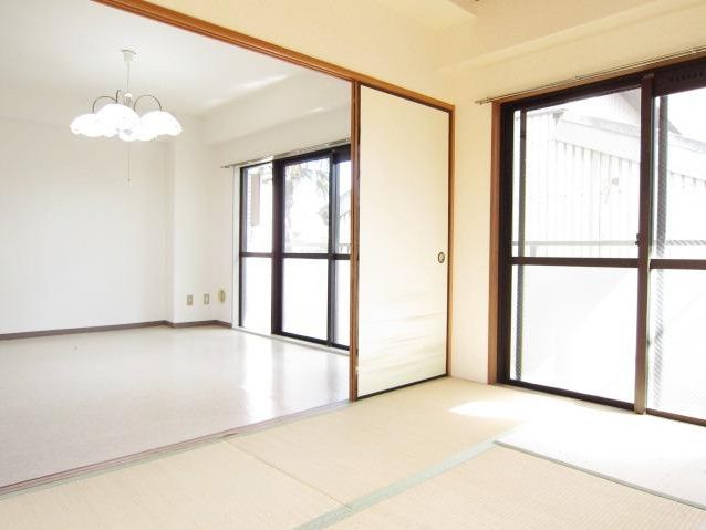 Living and room. South-facing bright room