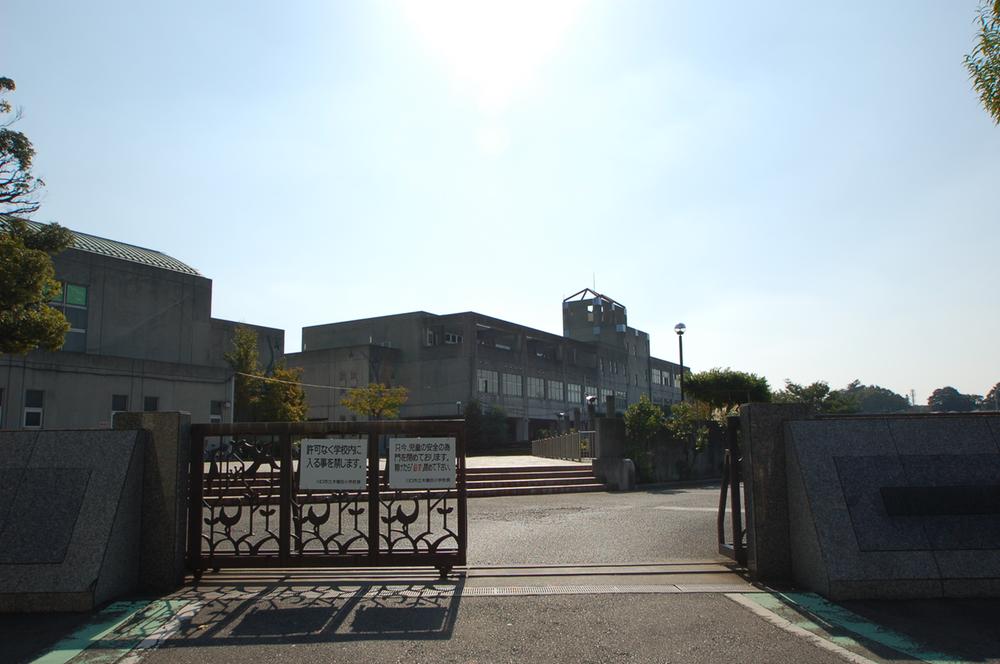 Primary school. Kizoro until elementary school 610m