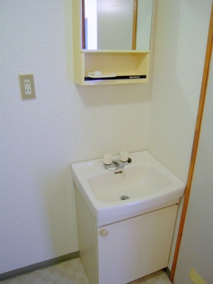 Toilet. Bathroom vanity