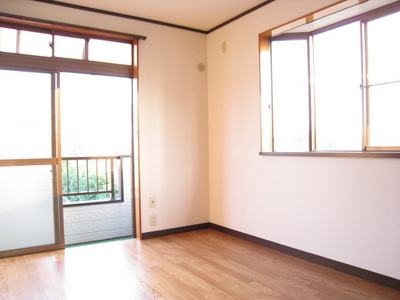 Living and room. Two-sided lighting