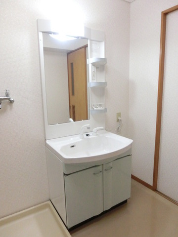 Washroom. Bathroom vanity