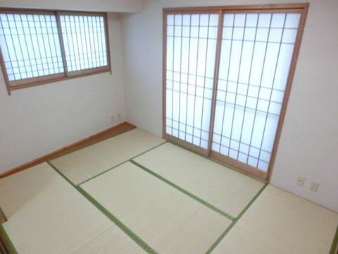 Other room space. Japanese style room