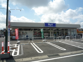 Supermarket. 150m to the Big A (super)