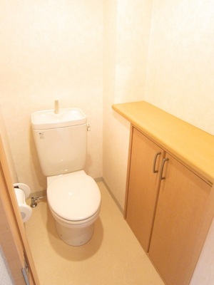 Toilet. This is useful There is also housed in the toilet