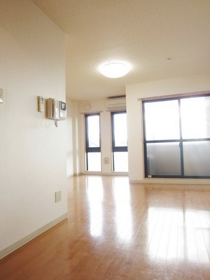 Living and room. Lighting 1 groups air conditioning 1 groups