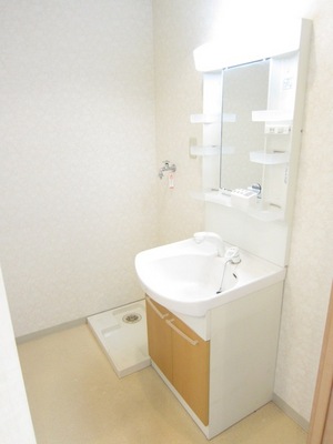 Washroom. Morning of Caring Easy Shampoo dresser