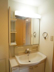 Washroom. Shower Dresser