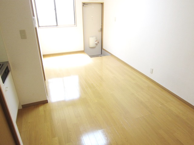 Entrance. Spacious studio type