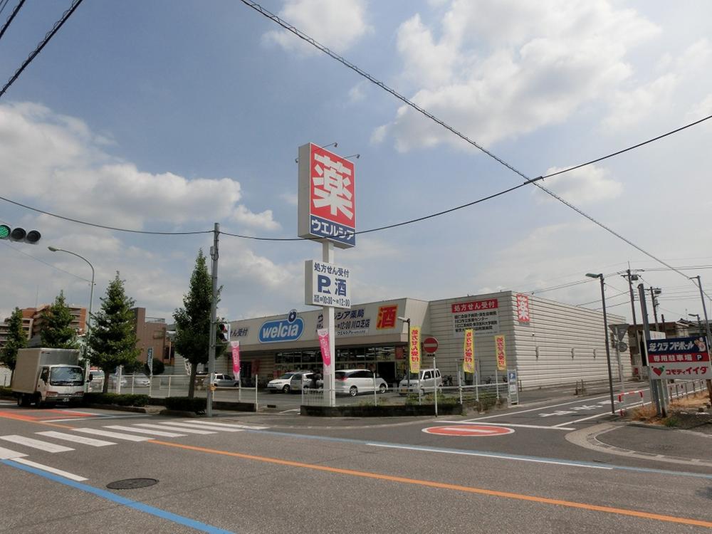 Drug store. Uerushia 320m until Kawaguchi turf shop