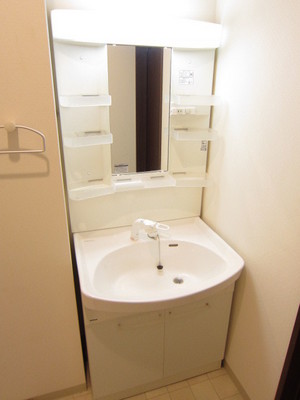 Washroom. There is a shampoo dresser