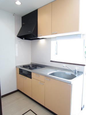 Kitchen. 3-neck system Kitchen! Fish grill with