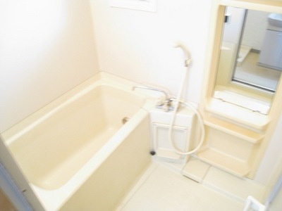 Bath. Mirror with bathroom