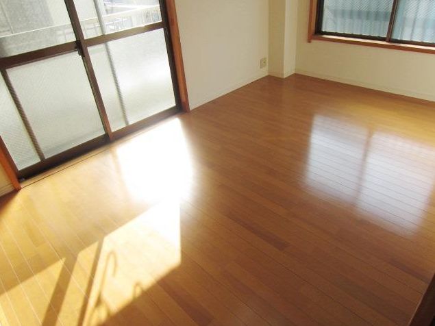 Living and room. Western-style flooring upholstery