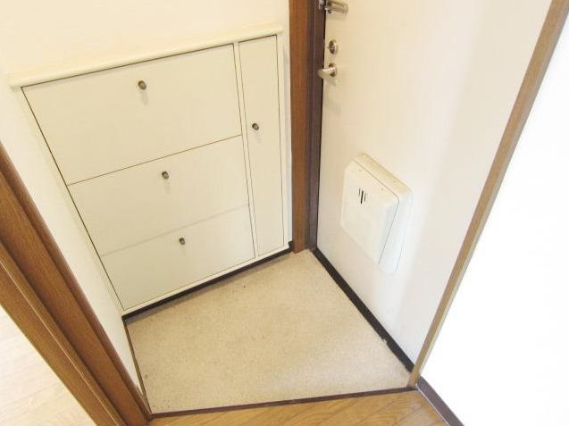 Entrance. Entrance storage is also equipped