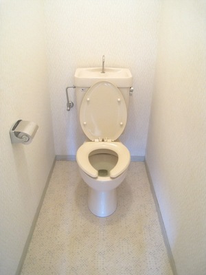 Toilet. Toilet with cleanliness