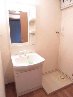 Washroom. Functional wash basin