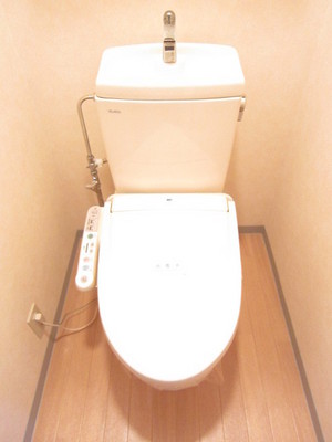 Toilet. Warm water cleaning toilet seat with