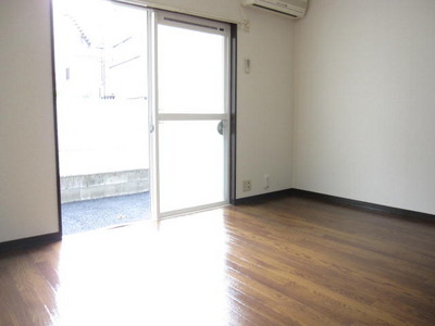 Living and room. Bright living room