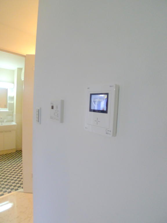 Other Equipment. TV monitor phone