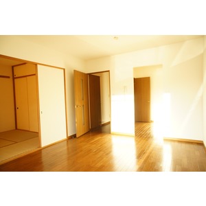 Living and room. Living