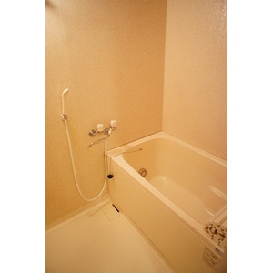 Living and room. Western-style 6.3 Pledge