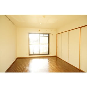 Living and room. Living