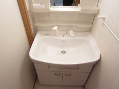 Washroom. Shampoo dresser with