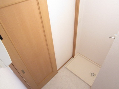 Other. Laundry Storage in the room