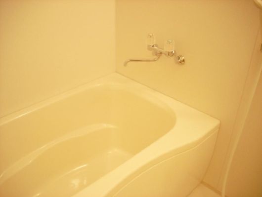 Bath. Spacious bathtub