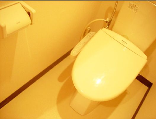 Toilet. Washlet Installed