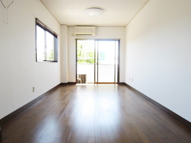 Living and room. A bright room with two-sided lighting