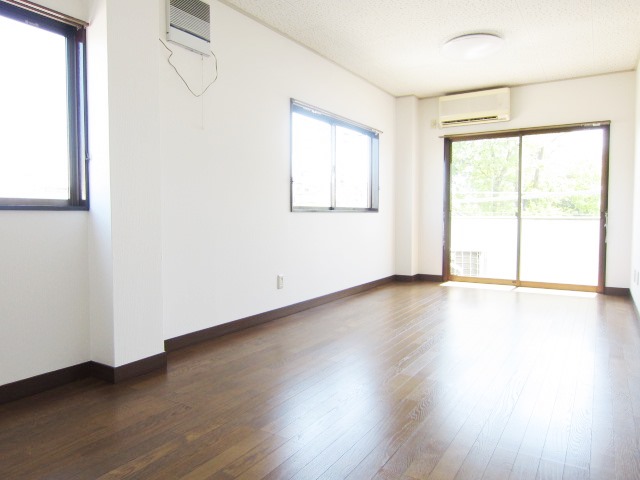 Living and room. Beautiful room. 