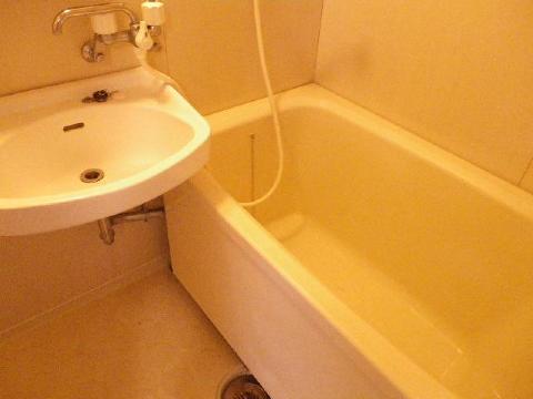 Bath. It is a bath with a wash basin. 