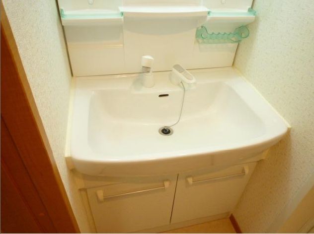 Washroom. Vanity is equipped