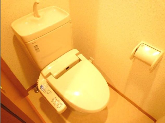 Toilet. Washlet Installed