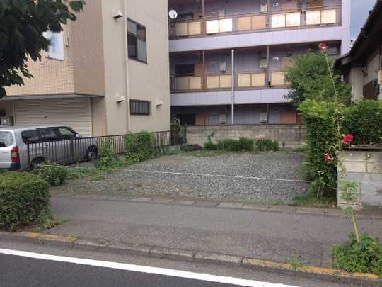 Local land photo. appearance