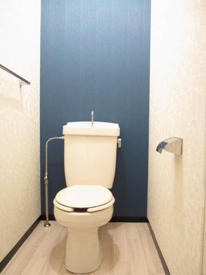 Toilet. Accent to the bathroom! Calm you ...